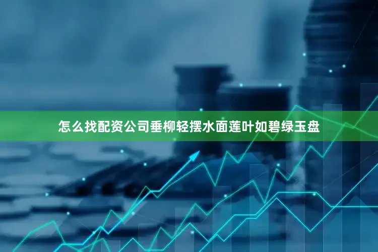 怎么找配资公司垂柳轻摆水面莲叶如碧绿玉盘