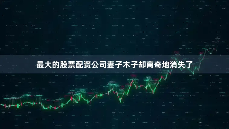 最大的股票配资公司妻子木子却离奇地消失了